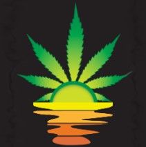 LGS 1989-Greenway Solutions-3 Seeds