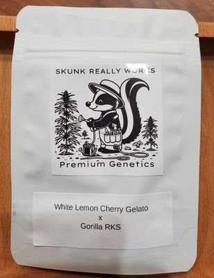 White Lemon Cherry Gelato x Gorilla RKS-Skunk Really Works-12 Regular Seeds