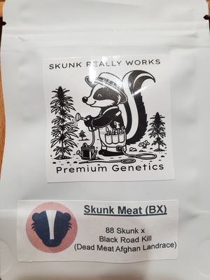 Skunk Meat (BX)-Skunk Really Works-12 Regular Seeds
