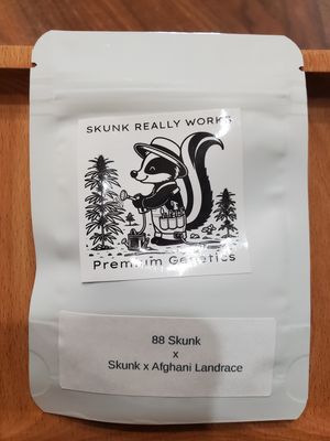 88 Skunk x Skunk x Afghani Landrace-Skunk Really Works-12 Regular Seeds