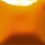 SC97 Cant-elope Pint