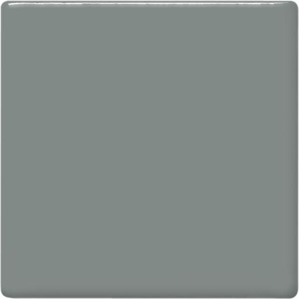 TP15 Gray Pint