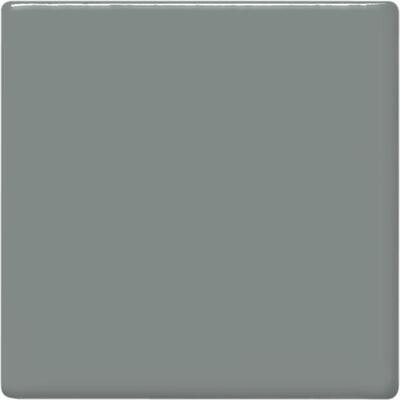 TP15 Gray Pint