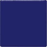 TP21 Midnight Blue Pint