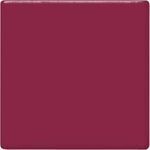TP52 Raspberry Pint
