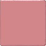 TP53 Pig Pink Pint