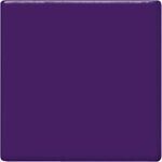 TP51 Grape Pint