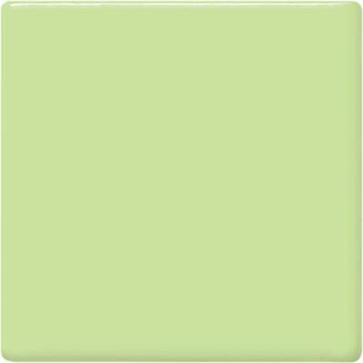 TP40 Mint Green Pint