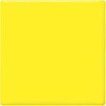 TP60 Lemon Pint