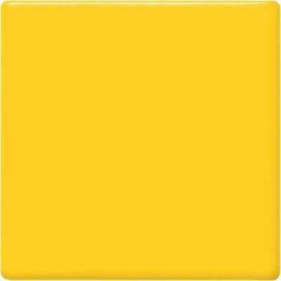TP62 Maize Pint