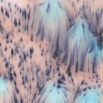 S2702 Northern Lights Pint