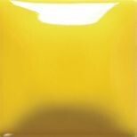 FN002 Yellow Gallon