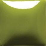 FN007 Green Gallon