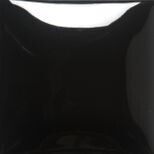 FN009 Black Gallon