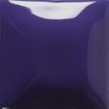 FN006 Blue Gallon