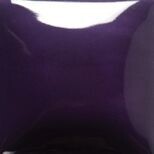 FN017 Purple Gallon