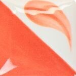 CN062 Bright Salsa 2oz disc