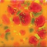 CG753 Sassy Orange Pint