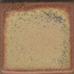 031 Red Gold Dry 10#