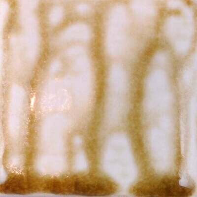SP1422 Fig Ash Pint