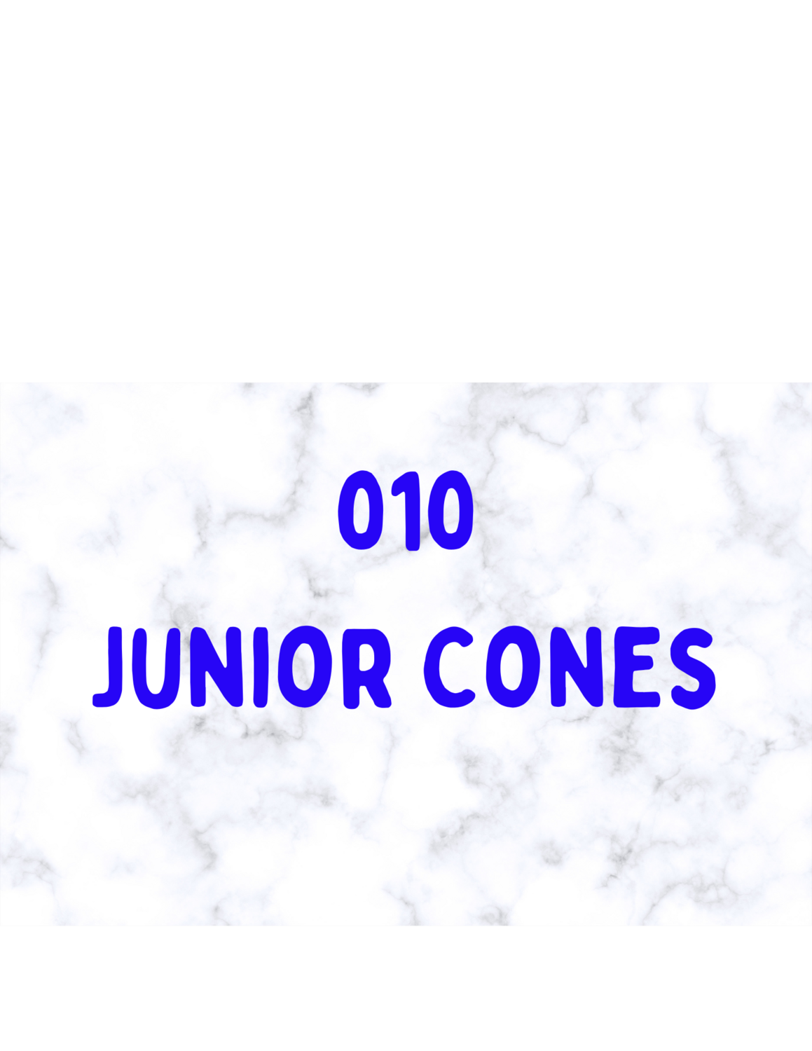 010 Cones Box Jr. 50 ea.