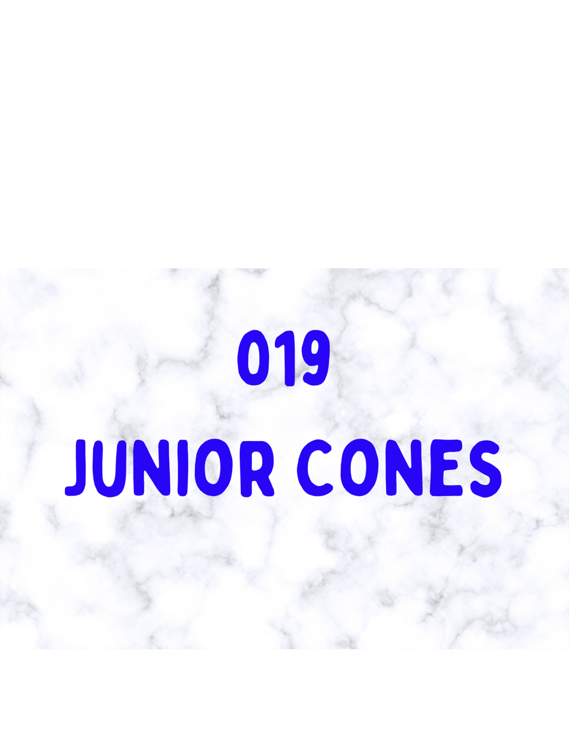 019 Cones Box Jr. 50 ea.