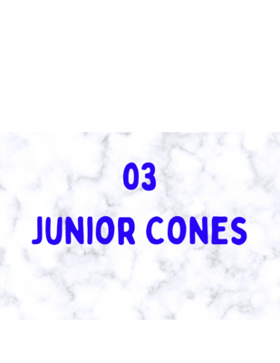 03 Cones Box Jr. 50 ea.