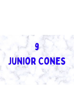 9 Cones Box Jr. 50 ea. 