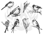 Silk Screen Birds