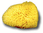 Sponge Silk 4&quot;