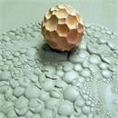 Sphere Bubbles Sm