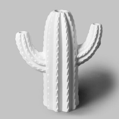 Cactus Bisque
