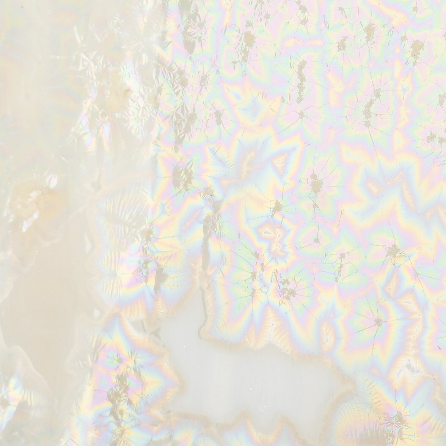 C06 Supernova Cosmos Pint