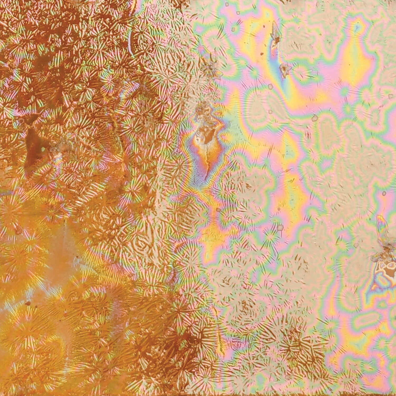 C07 Solar Flare Cosmos Pint