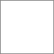 6700 White Mason Stain 1#