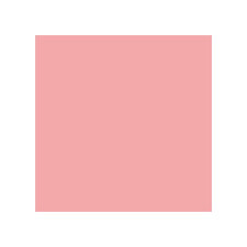6000 Shell Pink Mason Stain 1/2#
