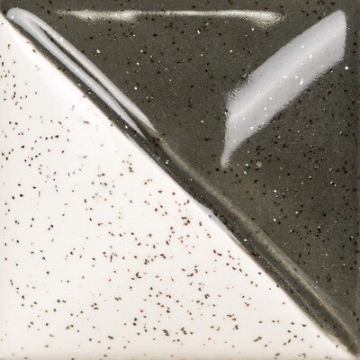 SG701 Speckta-Clear Stardust 4oz (D)