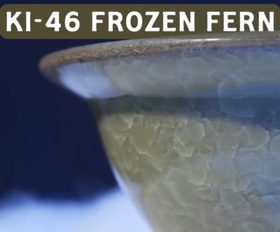 KI46 Frozen Fern Pint