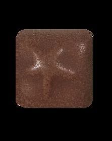 MS257 Chocolate Pint