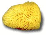 Sponge Silk 3&quot;