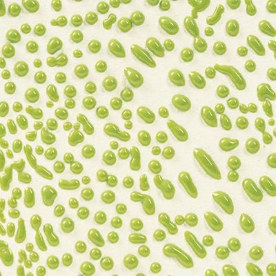 CR41 Lime Crawl Pint