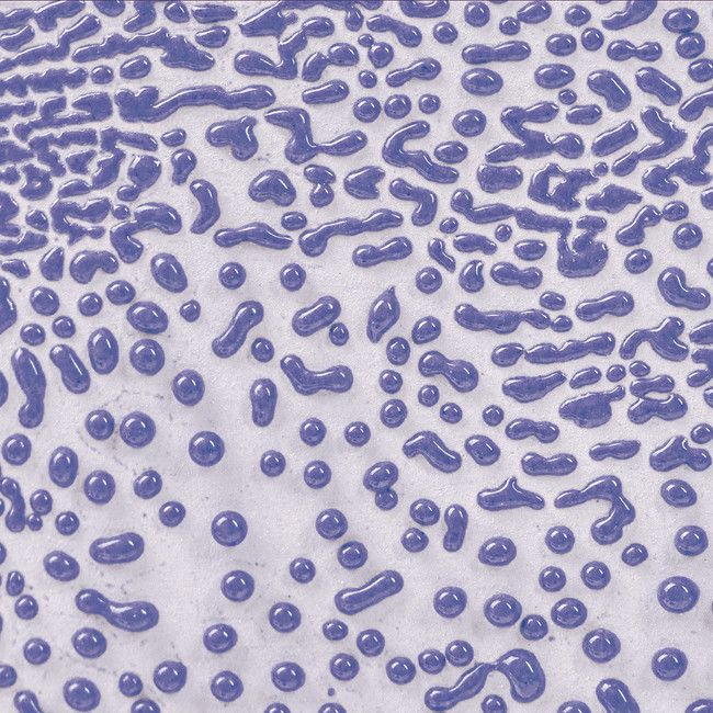 CR54 Purple Crawl Pint