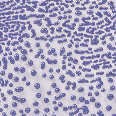 CR54 Purple Crawl Pint