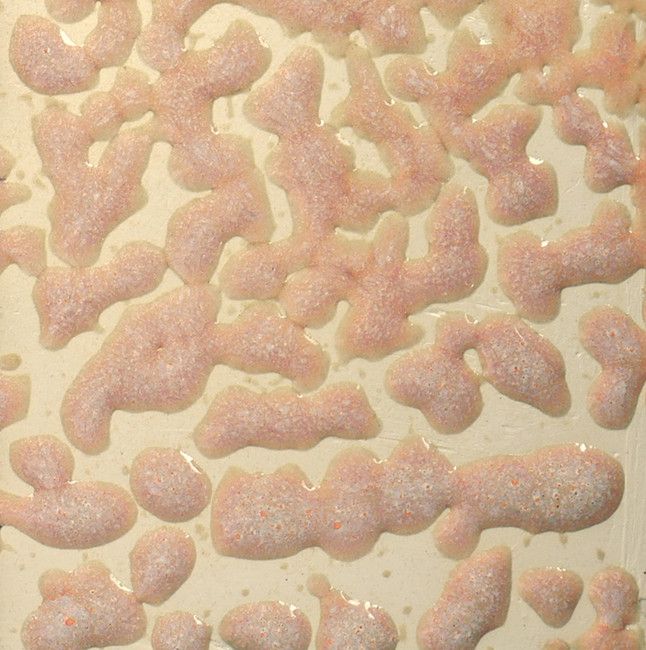 CR17 Flux Crawl Pint