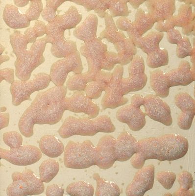 CR17 Flux Crawl Pint