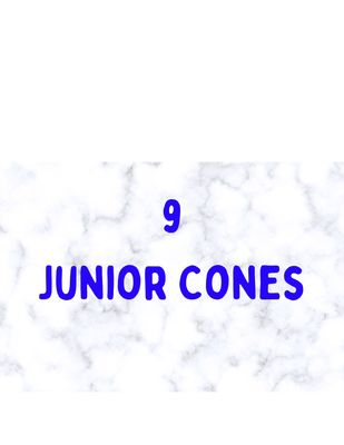 9 Cones Box Jr. 50 ea.