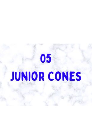 05 Cones Box Jr. 50 ea.
