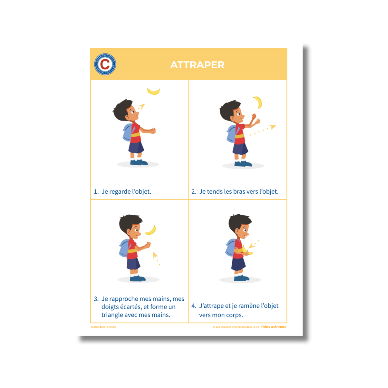 Little Champions Cue Cards