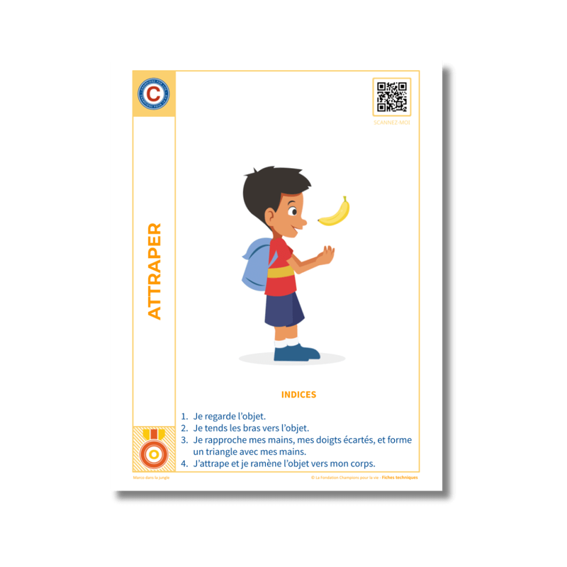 Little Champions Cue Cards