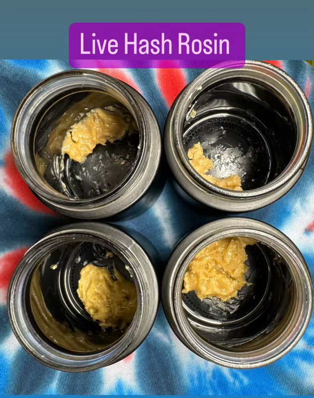 Live Hash Rosin